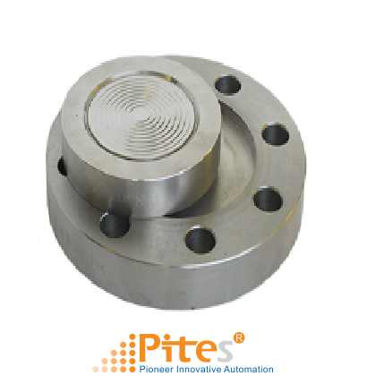 flanged-slip-on-–-fso-–-diaphragm-seals.png