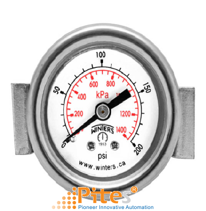 peu-economy-panel-mounted-gauge.png